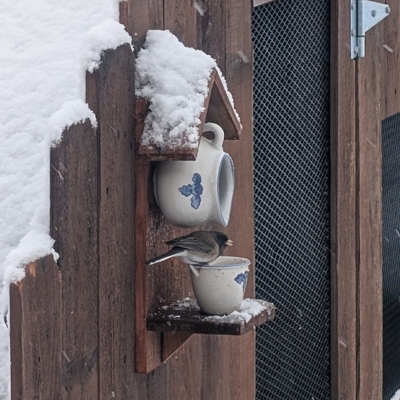 Rustic Teapot Bird Feeder Handmade Lady Luck - Picture 9 of 16